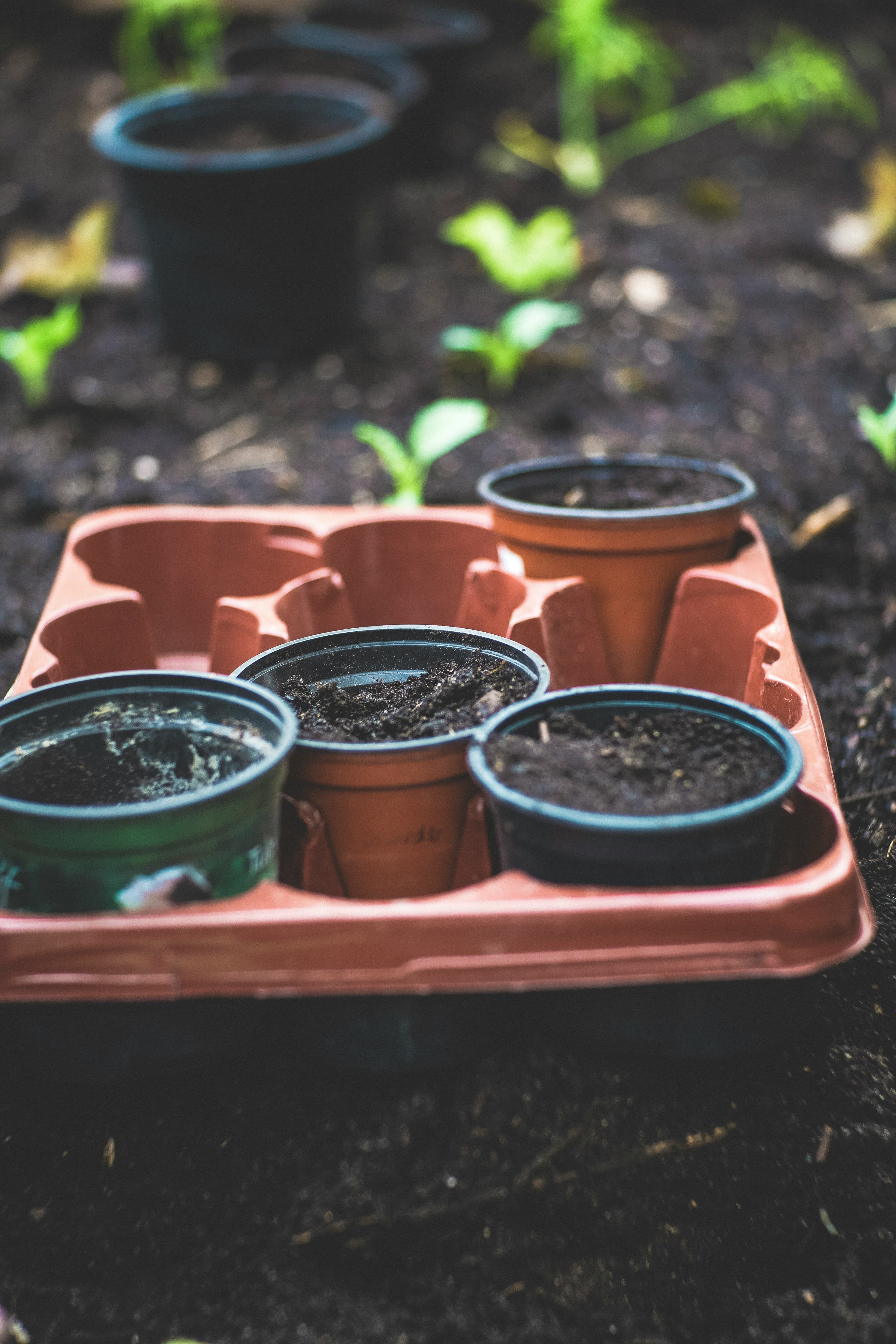 Self-Assessment for the Green Transition