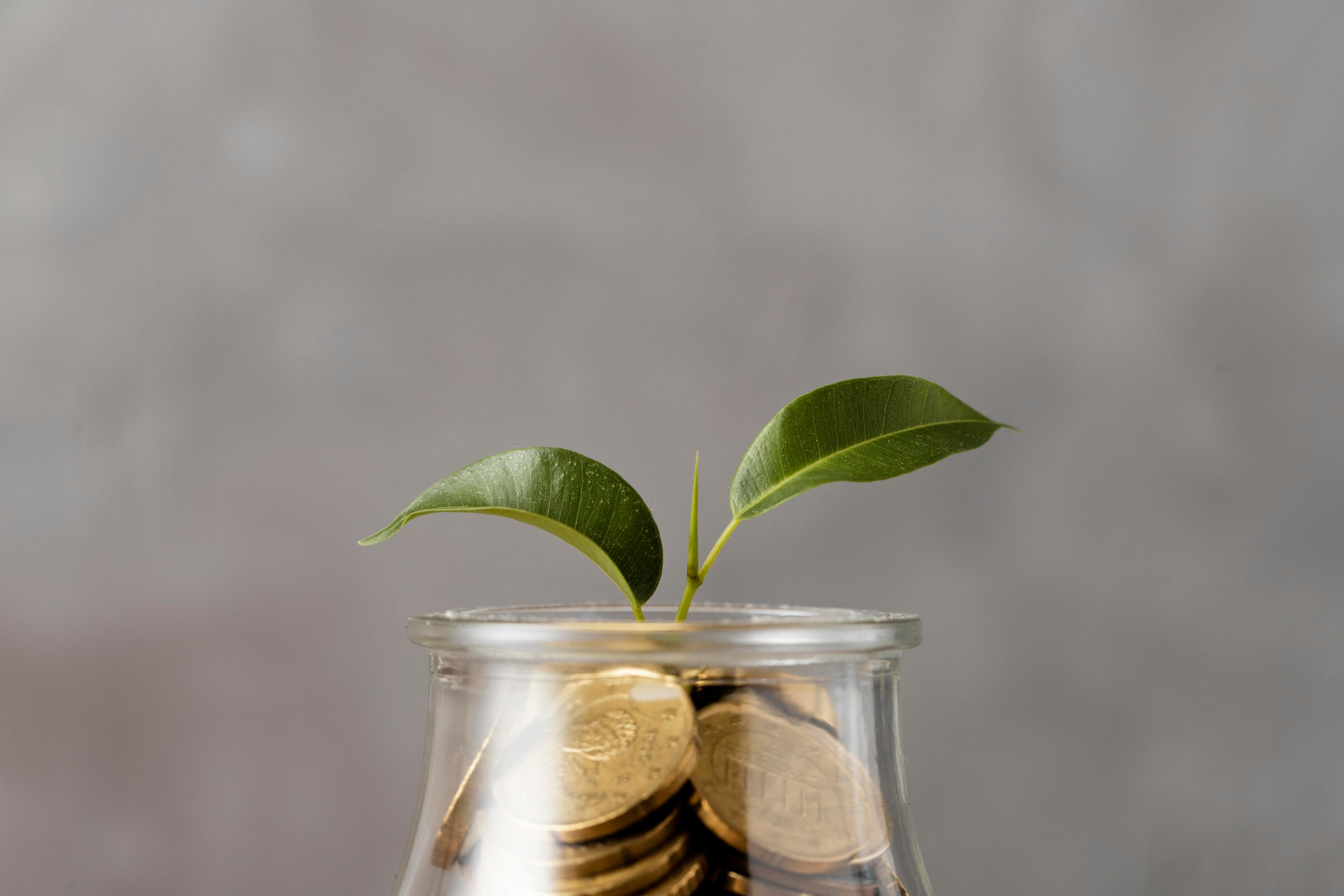 Individuals Role in Green Finance​ Article Cover