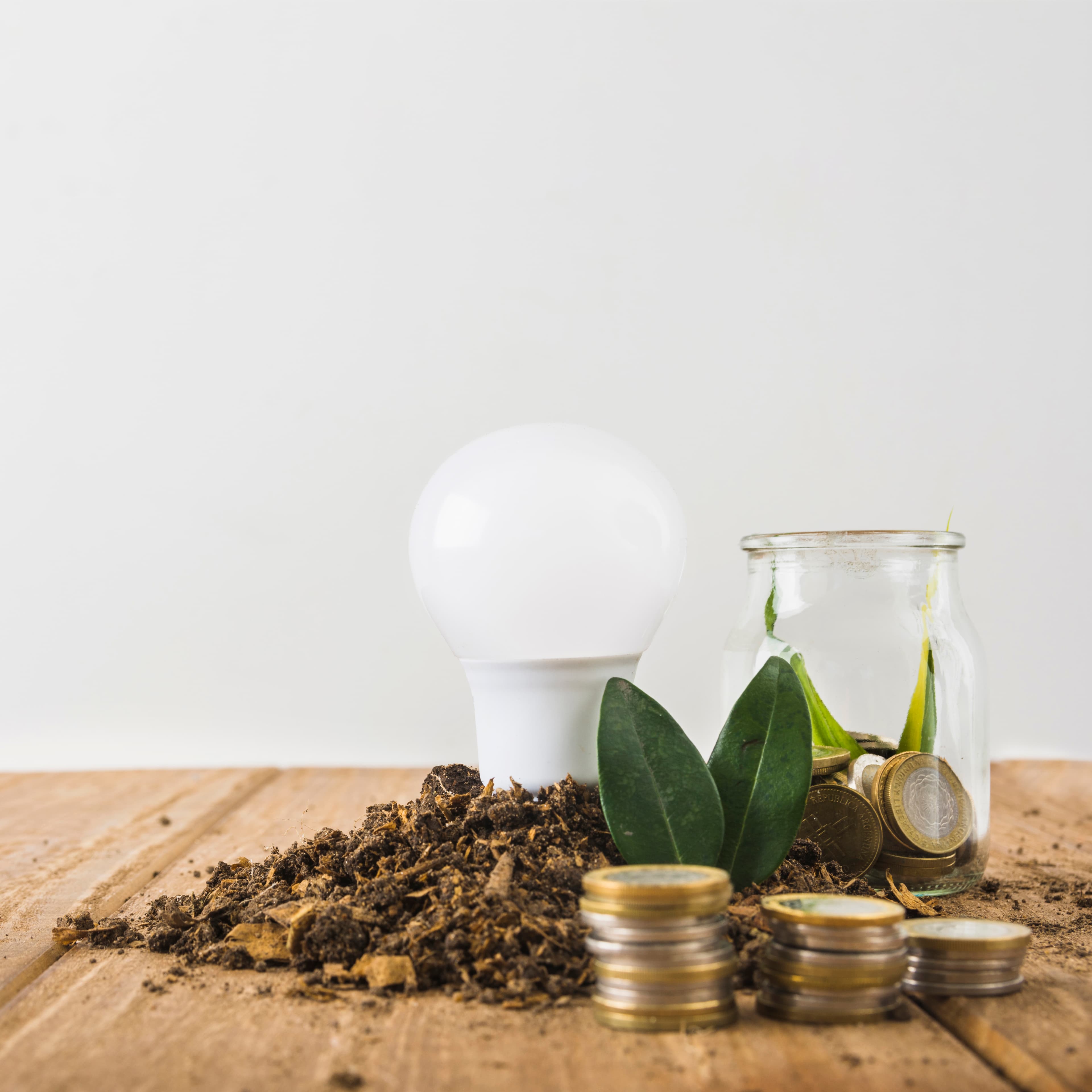 The Role of the Environment and the Circular Economy at an Individual Level​ Article Cover