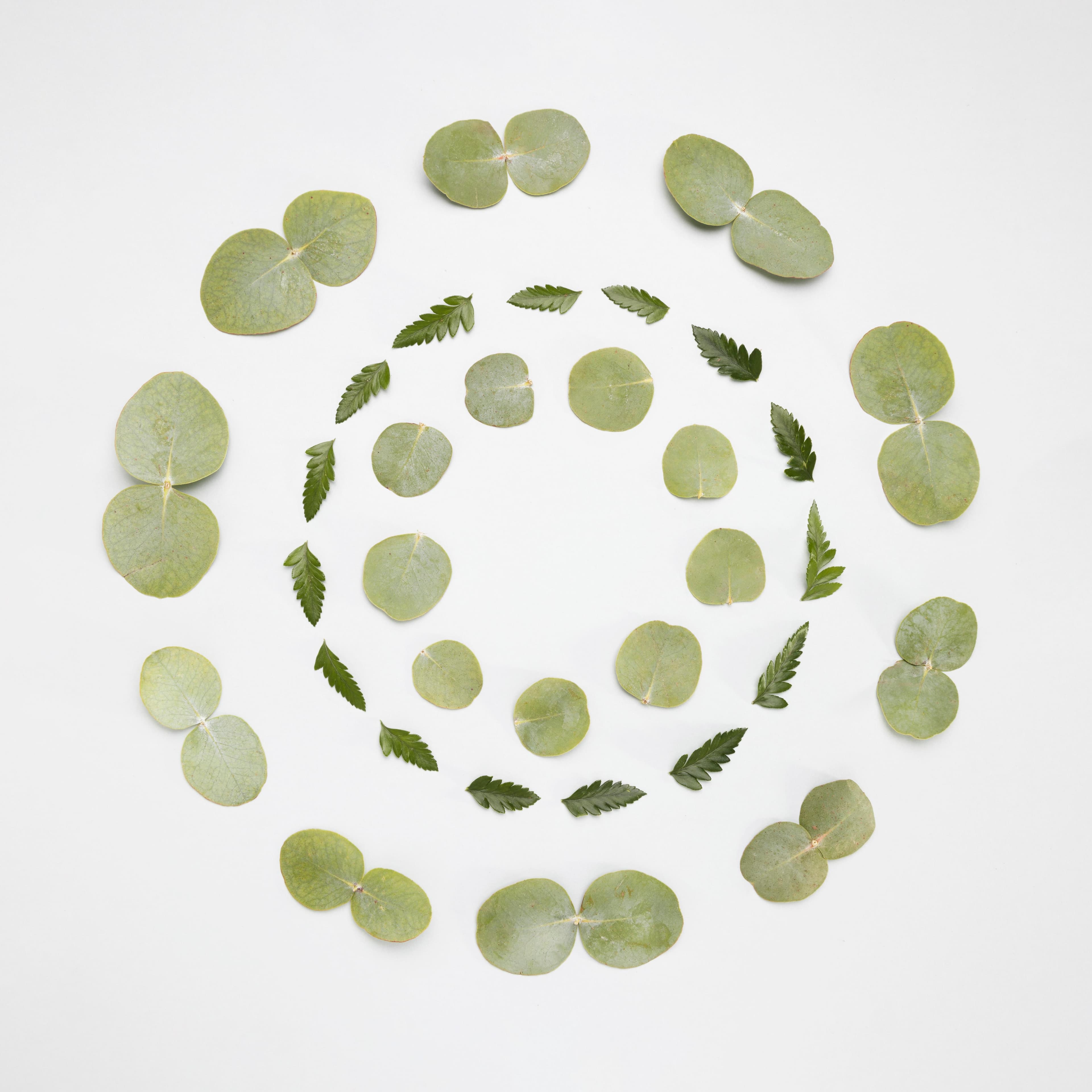 Environment and the Circular Economy ​ Article Cover