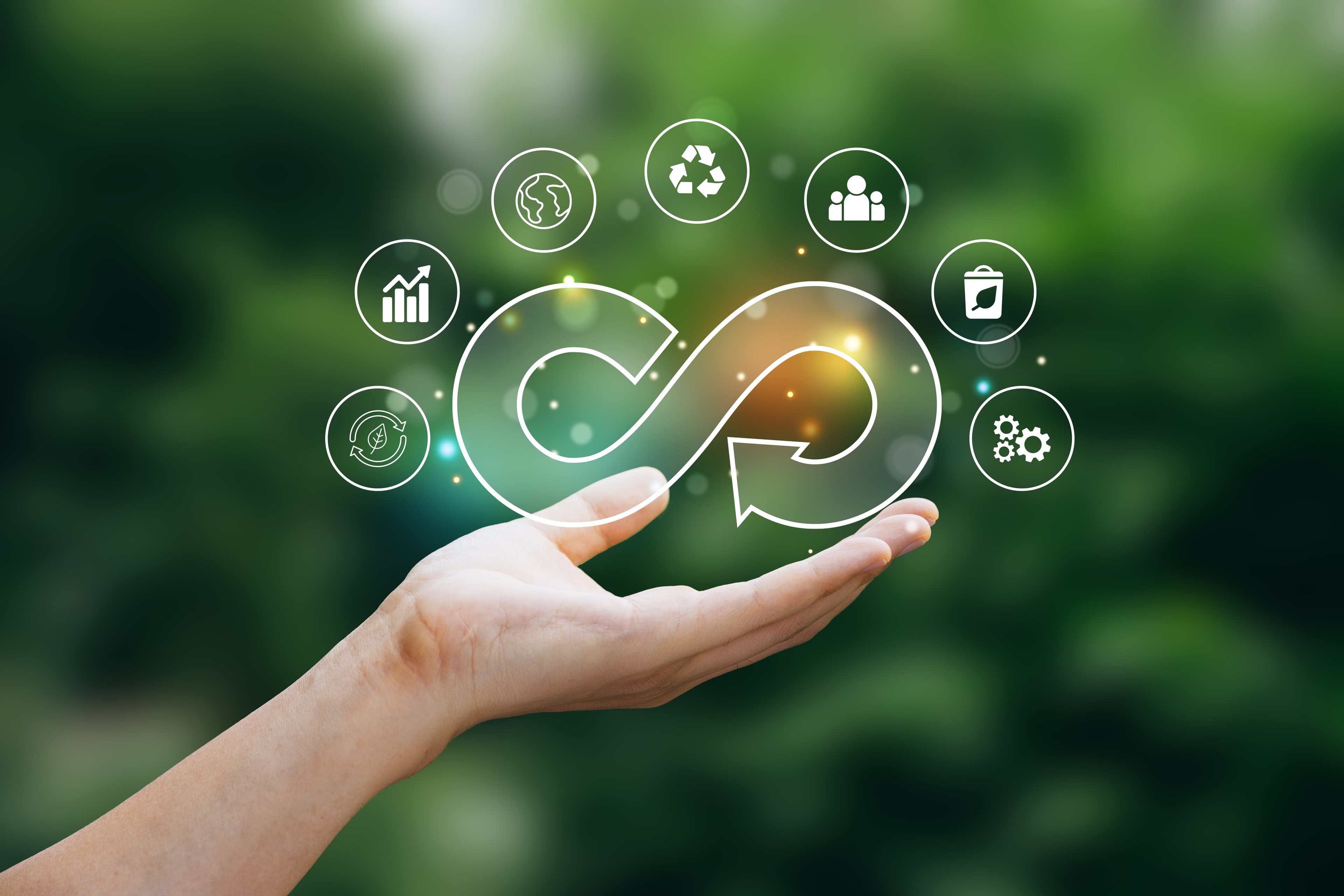 Case Studies for the Environment and Circular Economy Pillar​ Article Cover